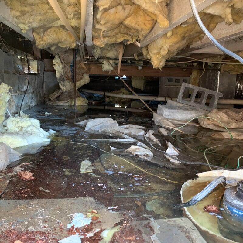 Worst case flooded crawlspace.
