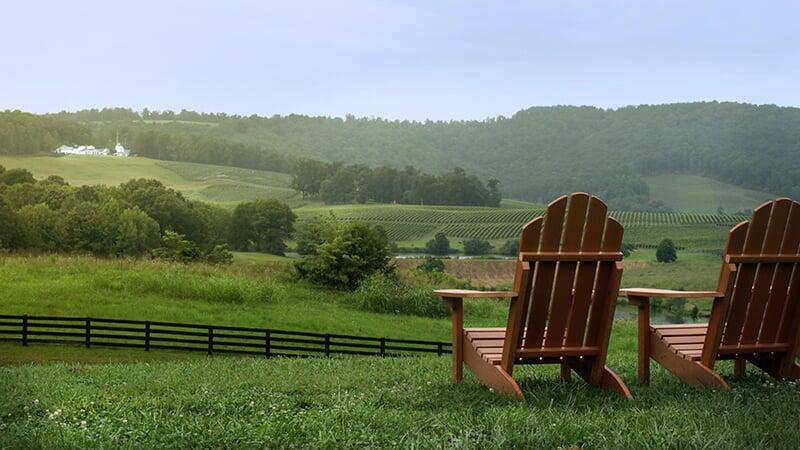 Beautiful pest-free yard overlooking fields and mountains.